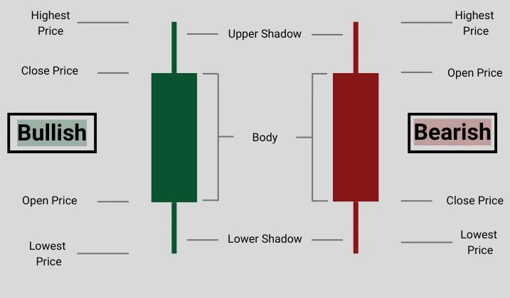 Anatomy of a Candlestick Anatomy of a Candlestick
