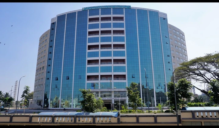 Features of a Large Cap Company Features of a Large Cap Company